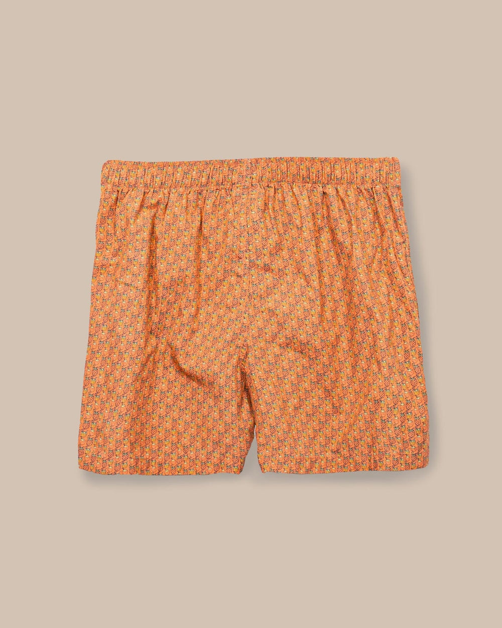 The back view of the Southern Tide Vacation Views Boxer by Southern Tide - Desert Flower Coral