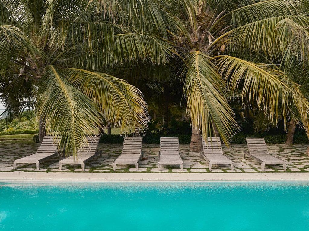 Image of palm trees hanging over lounge chairs by the pool.