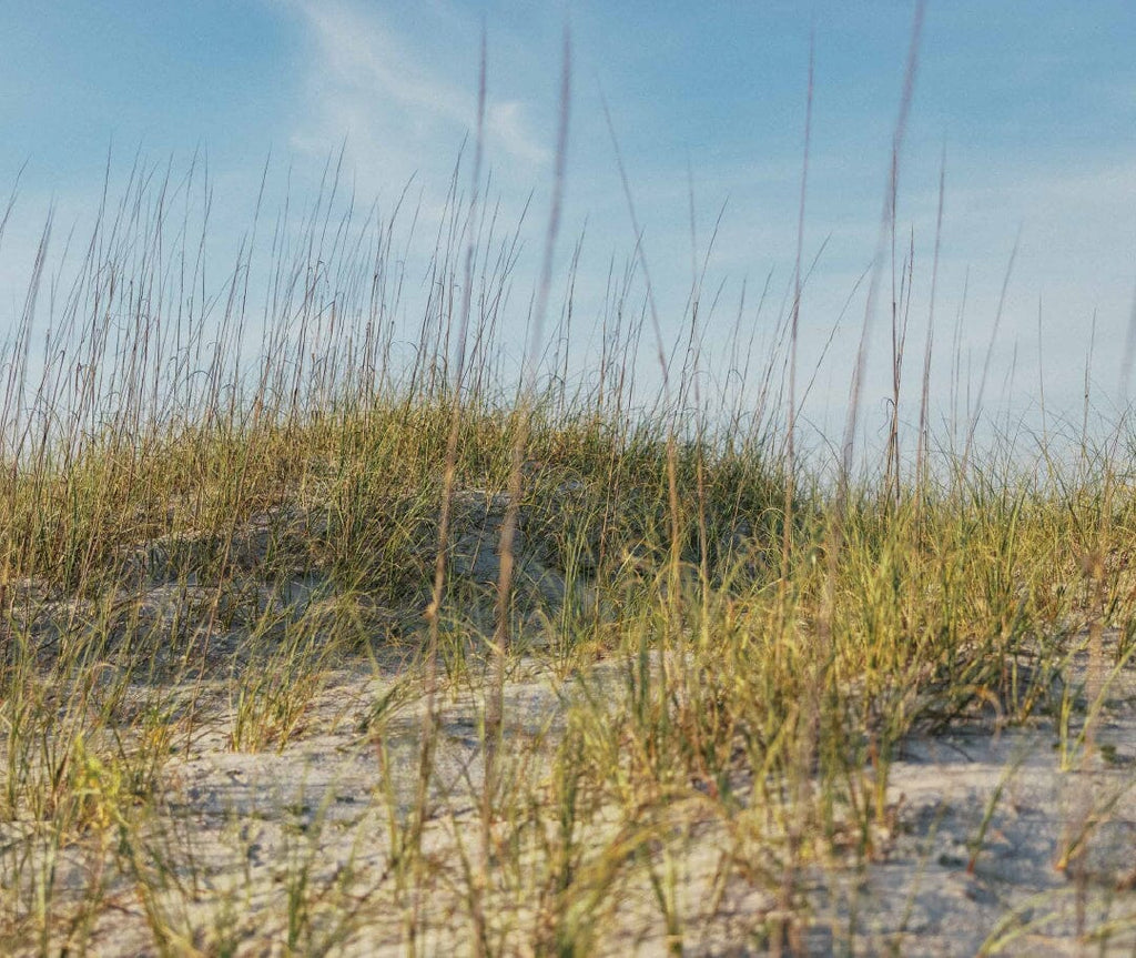 The Best Charleston Weekend Itinerary