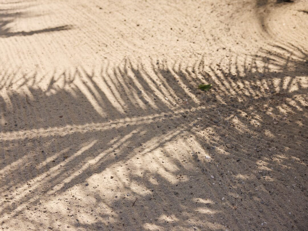 The best itinerary for Charleston. 