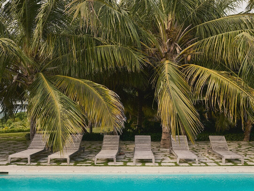 Top spring break destinations featuring beach resorts, coastal towns, and popular vacation spots for a spring getaway.