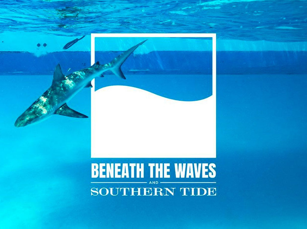 Beneath The Waves logo next to image of shark swimming in the ocean.