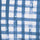 Seven Seas Blue Painted Gingham / XS Color Swatch