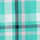 Turtle Green / XS Color Swatch