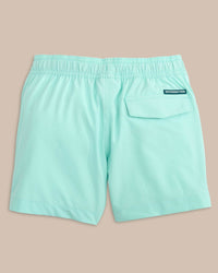 Boys Solid Swim Trunk 2.0