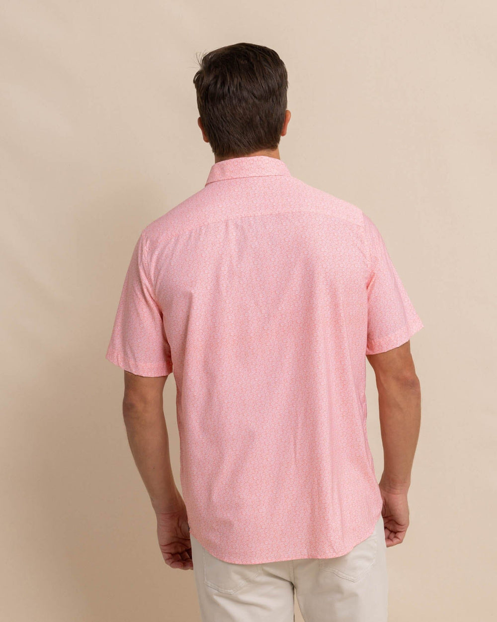 The back view of the Southern Tide brrr Intercoastal What the Shell Short Sleeve Sportshirt by Southern Tide - Conch Shell
