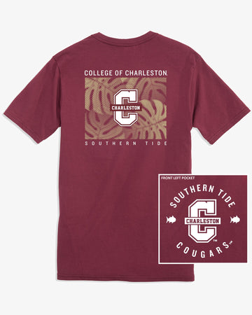 college-of-charleston-halftone