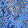 Boca Blue / S Color Swatch
