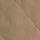 Petrified Oak / S Color Swatch
