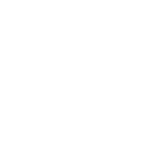 Military Icon