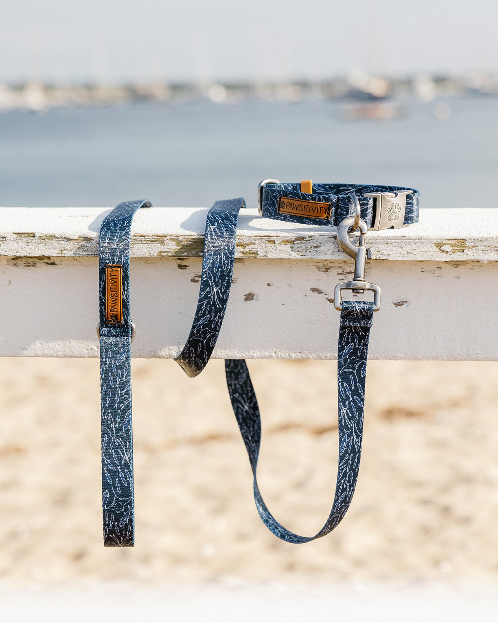 The lifestyle view of the Southern Tide ST x Pawsitivity Schooling Fish Dog Collar by Southern Tide - Dress Blue