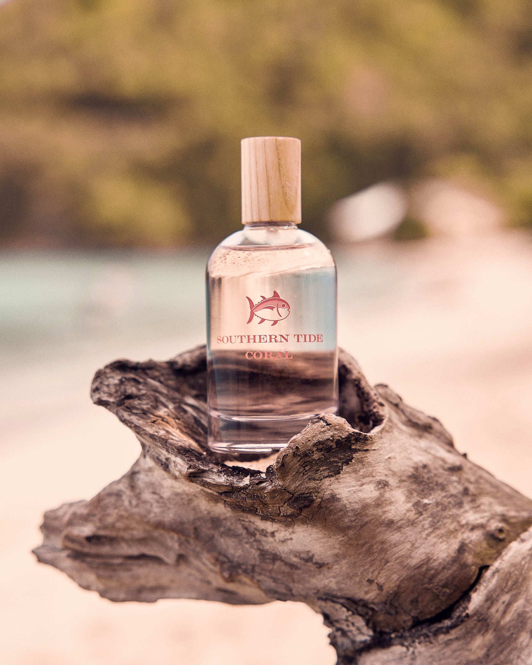 Fragrance and Candles | Southern Tide